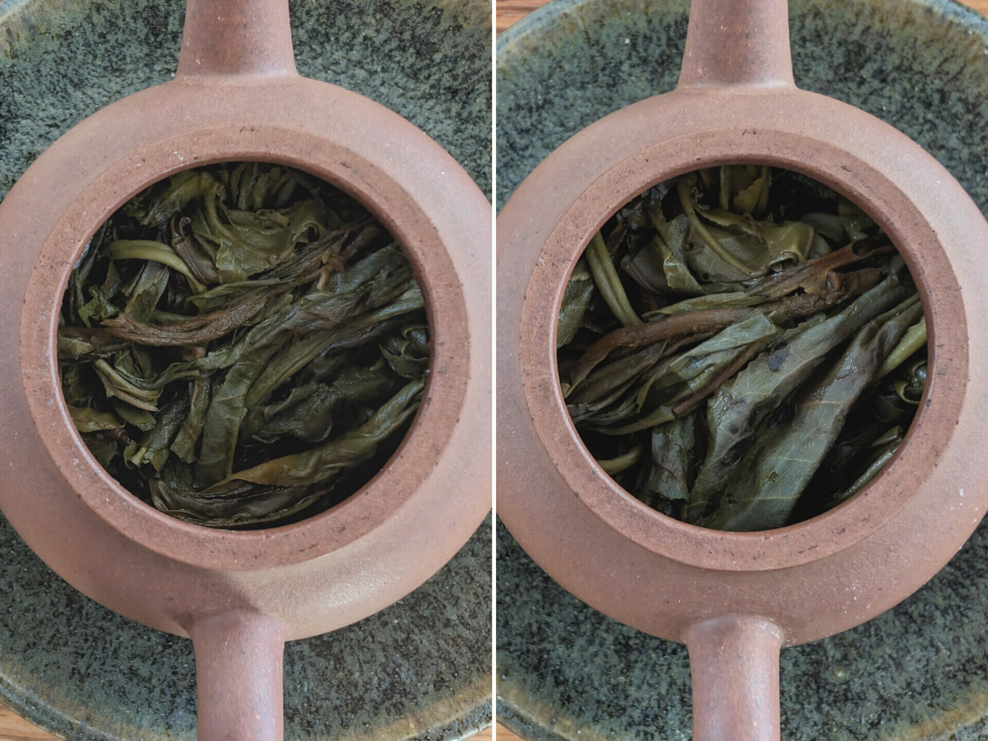2023 Chenyuan Hao Bai Cha Yuan
