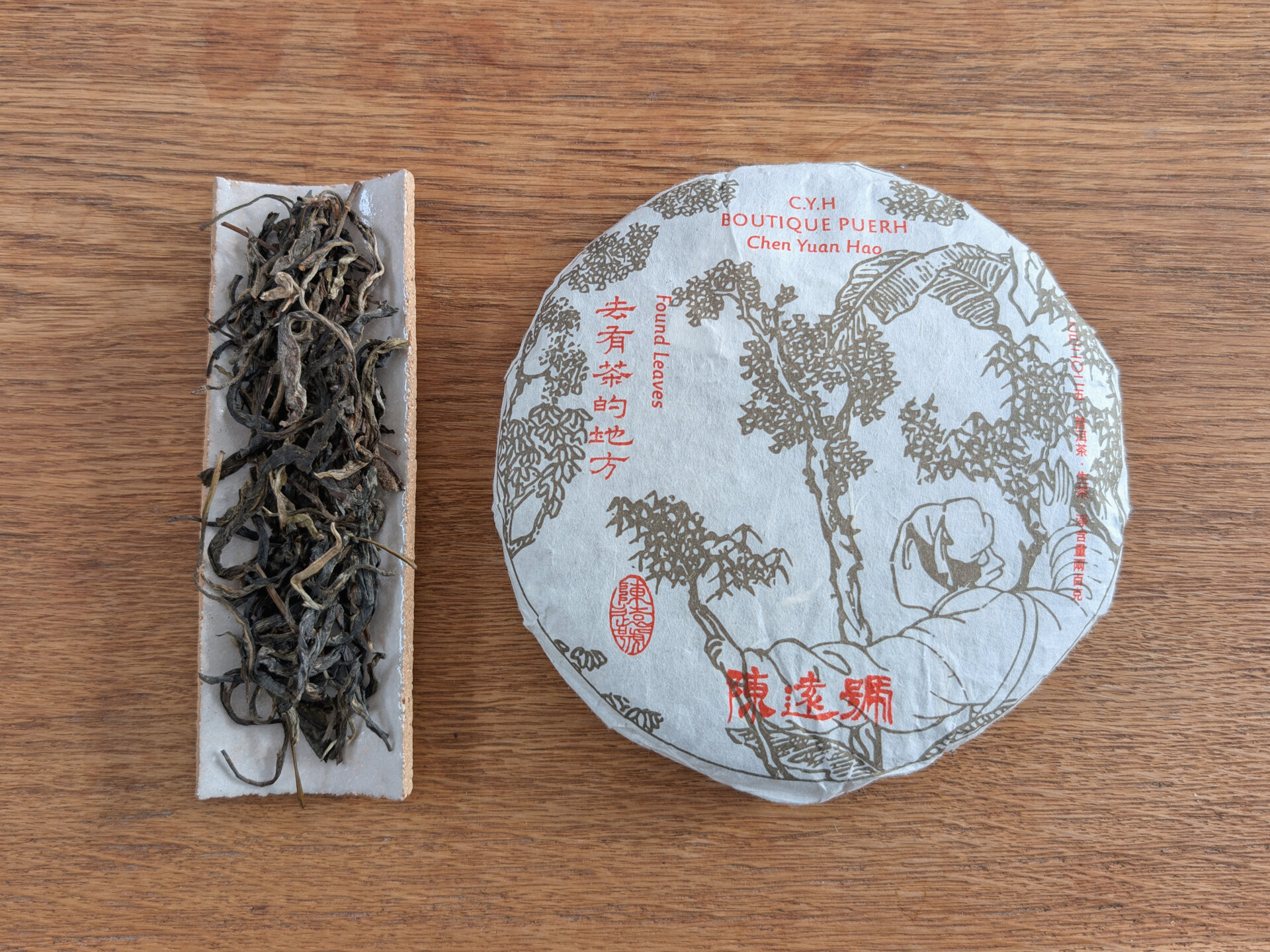 2025 Chenyuan Hao Found Leaves