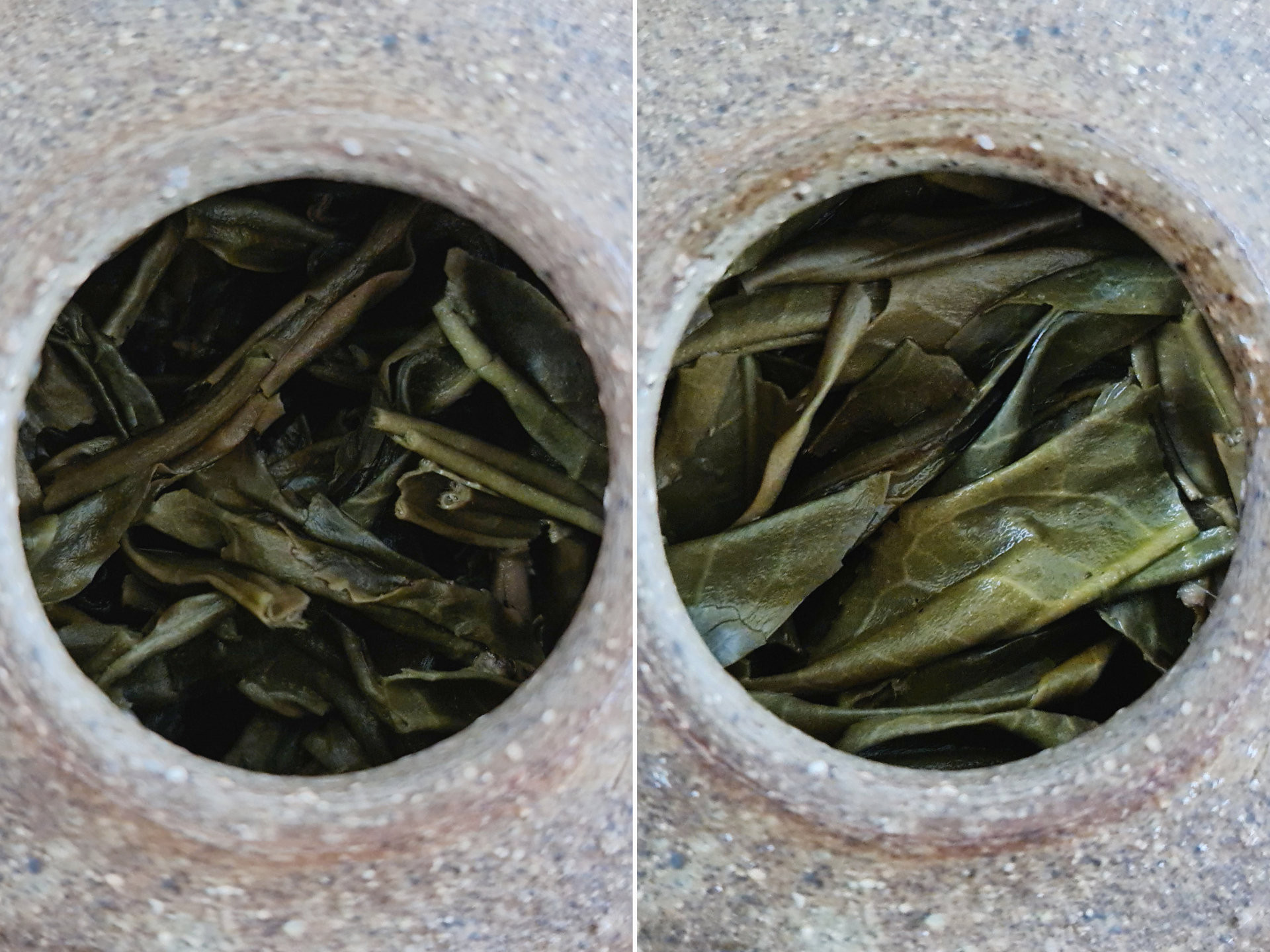 2016 Huangshanshu Single Tree (EoT)