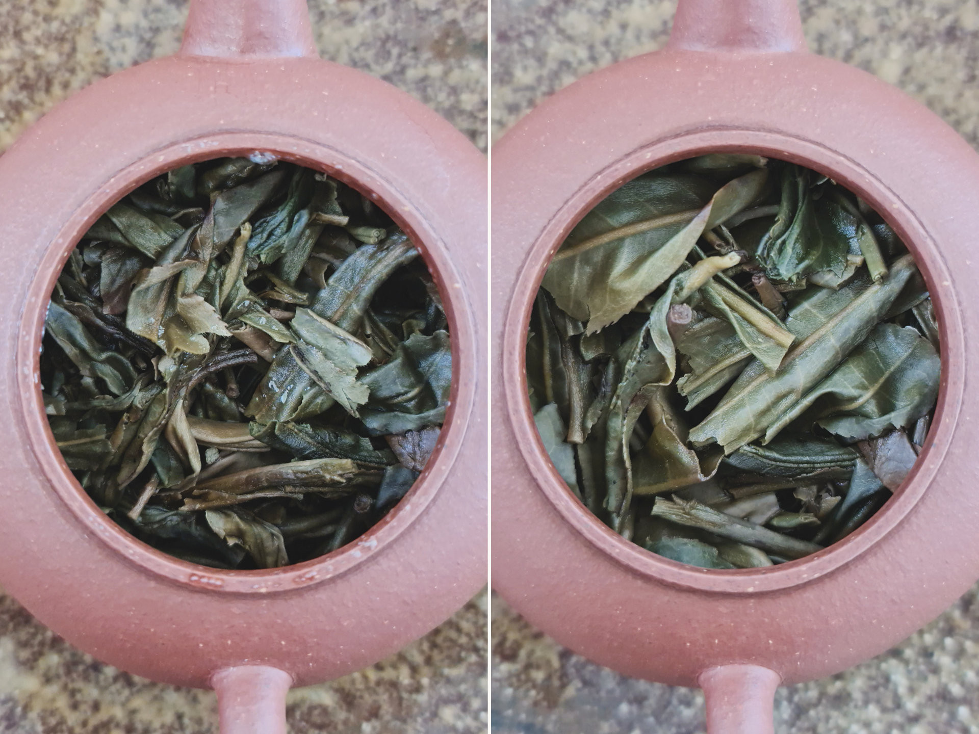2009 Douji Jingmai