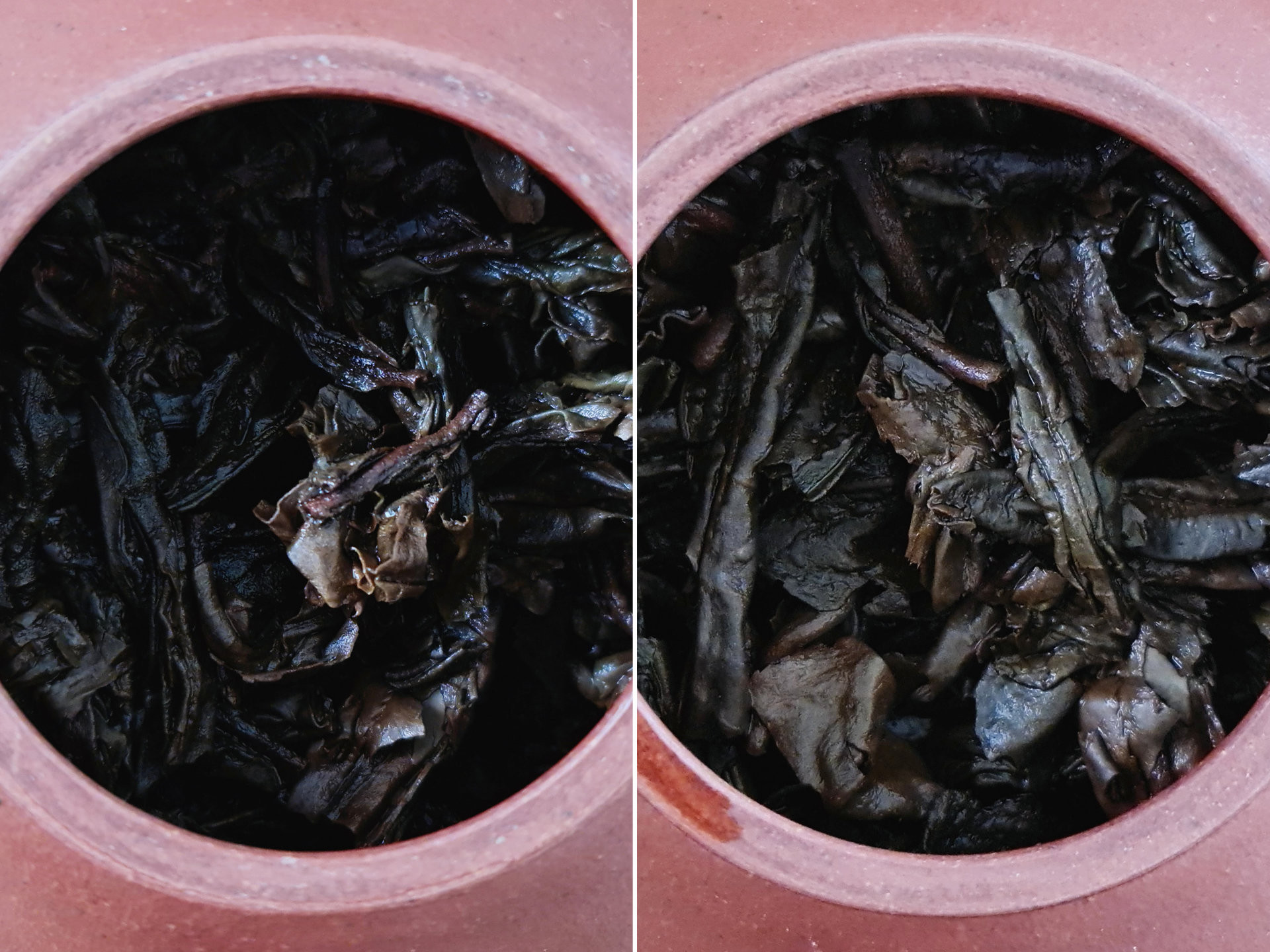 2003 Mengku Da Xue Shan