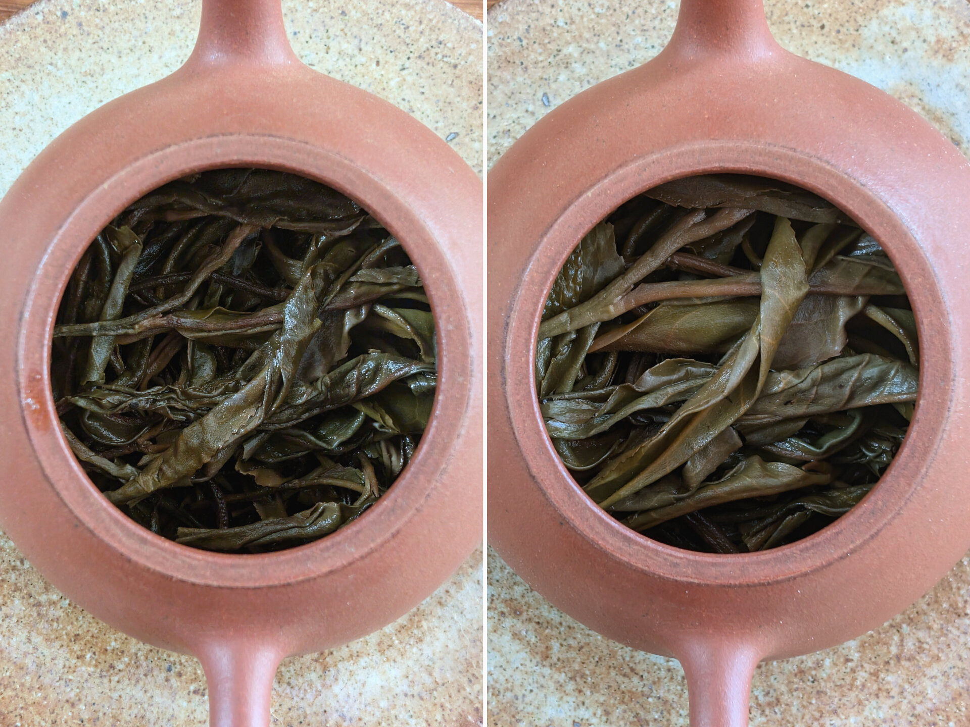 2019 Lao Mansa Autumn (prSK)