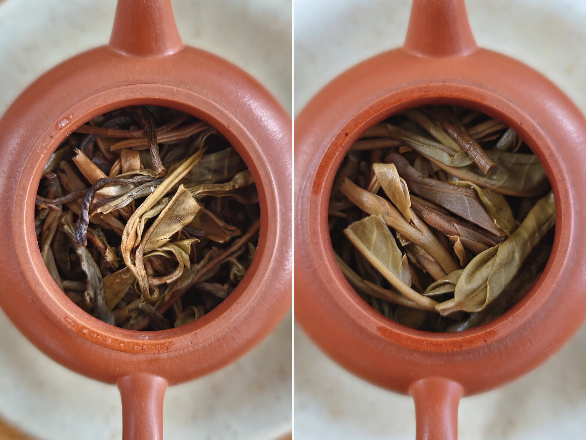 2010 Bangwei