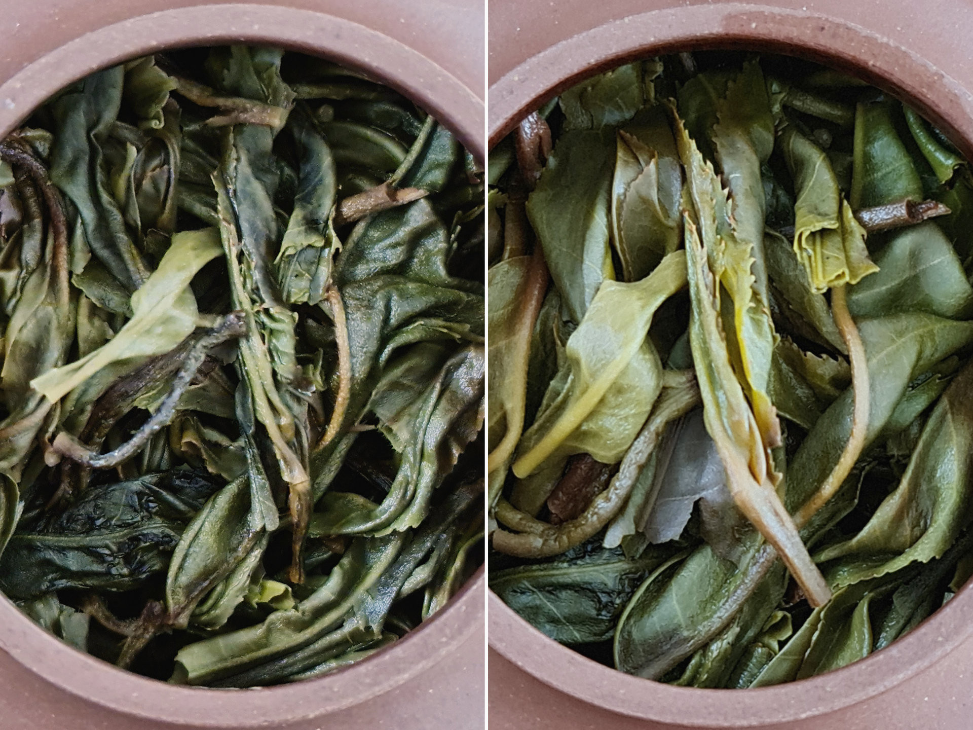 2021 Yiwu Guoyoulin (TE)