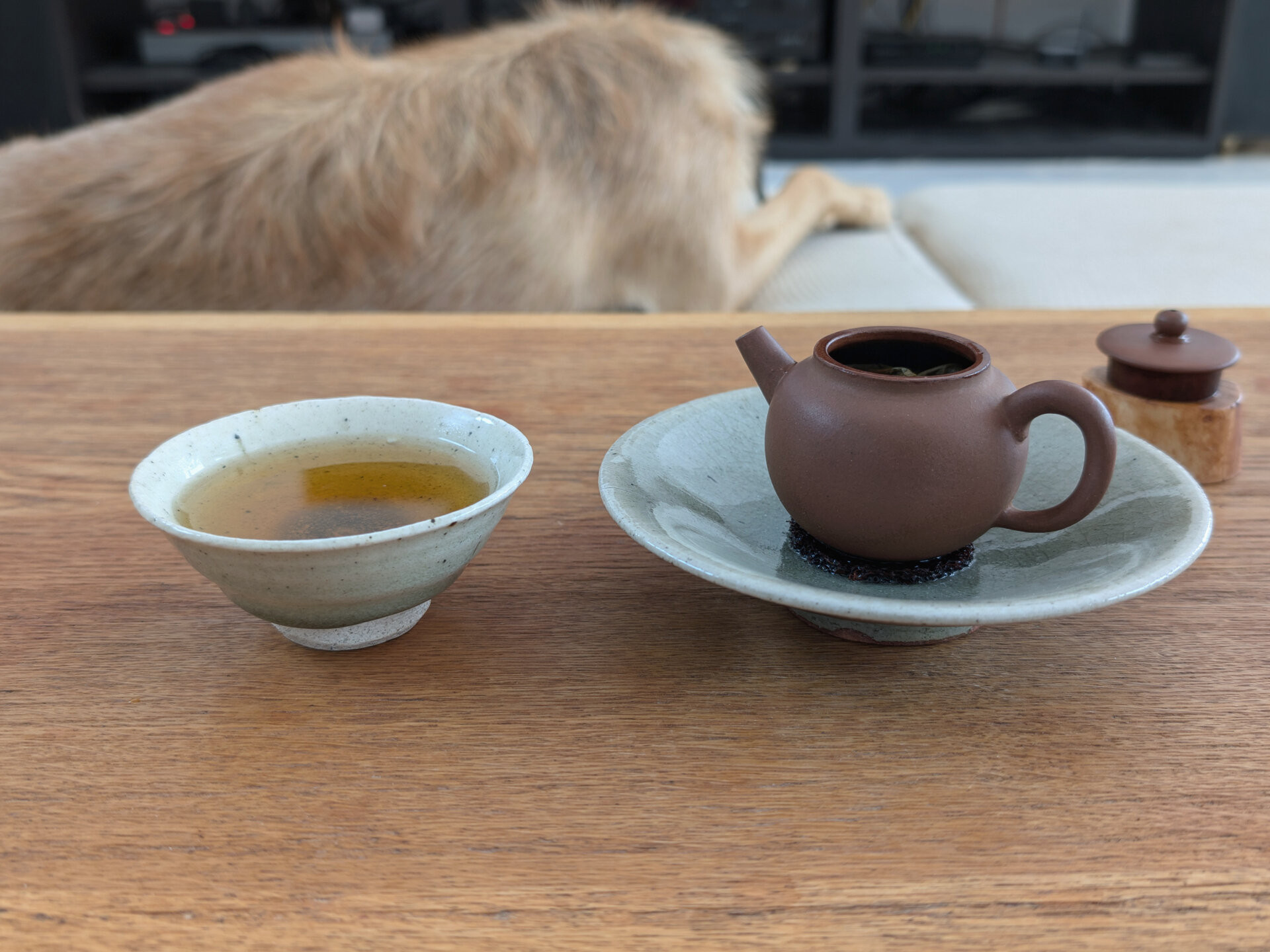 2020 Gushu Mengku Dongguo