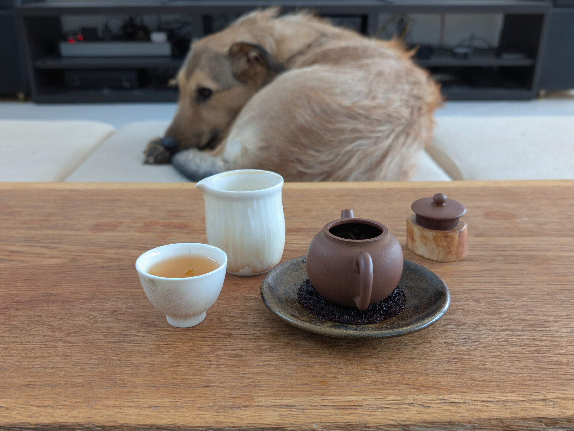 2024 Chenyuan Hao Jipin Gongcha