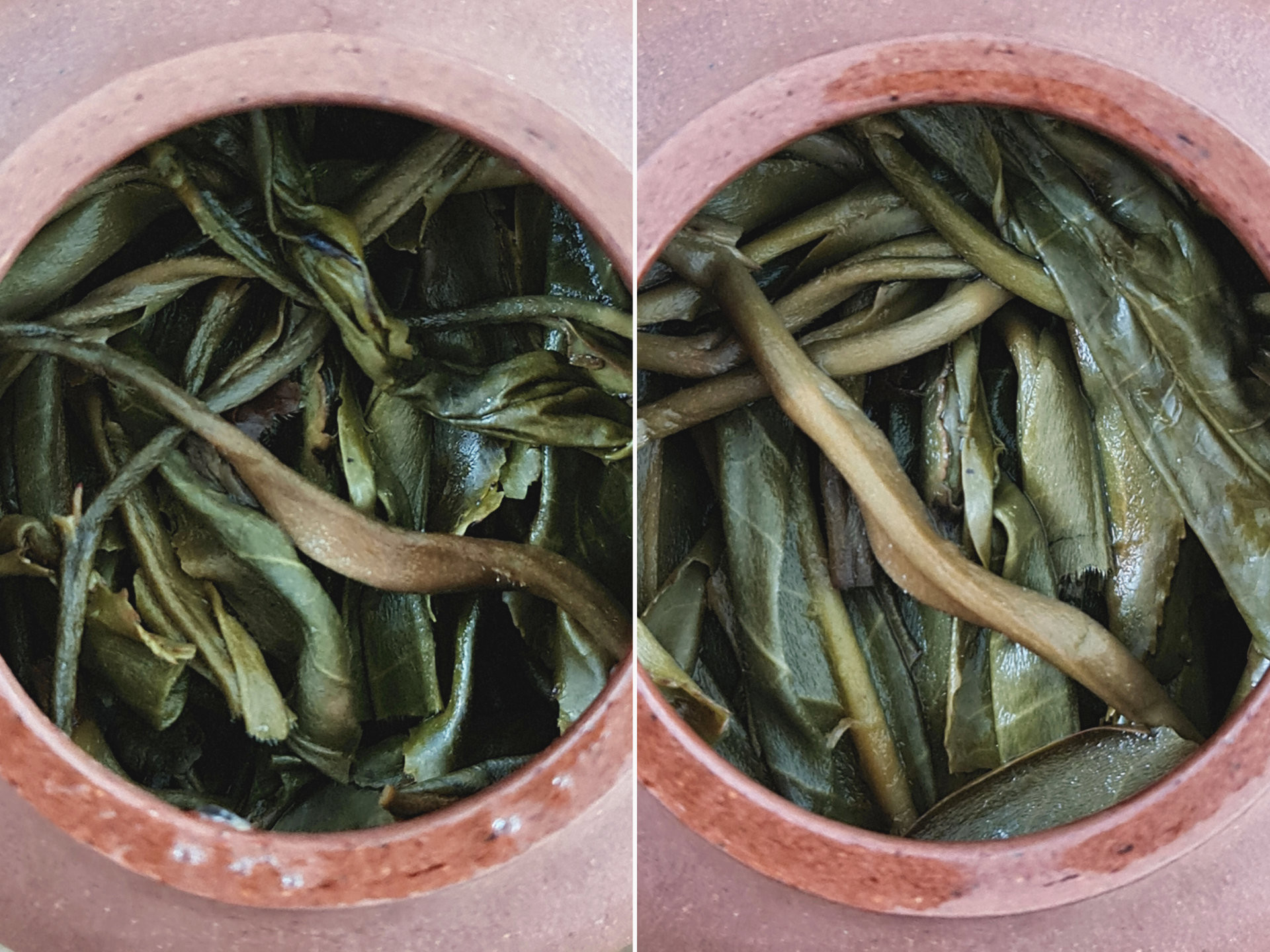2019 Lao Man E (TU)