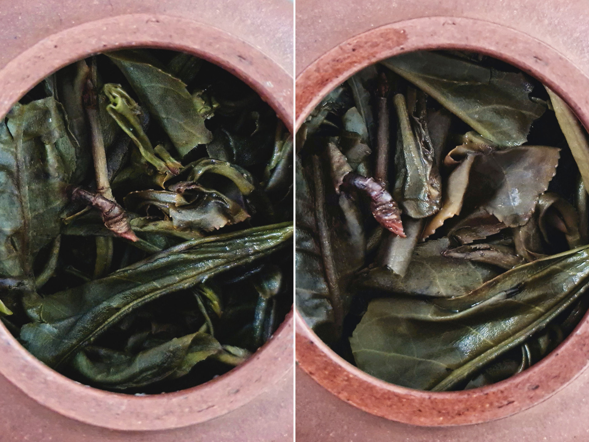 2020 Yi Bang Gushu (Yu)