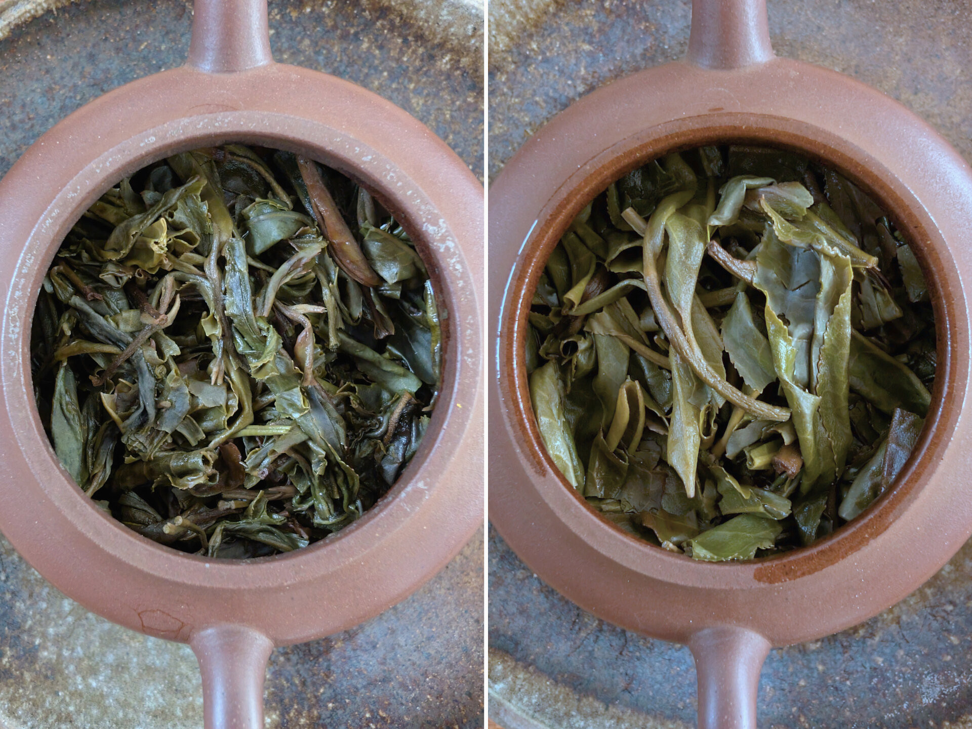 2024 Laos Lush Garden (MT)