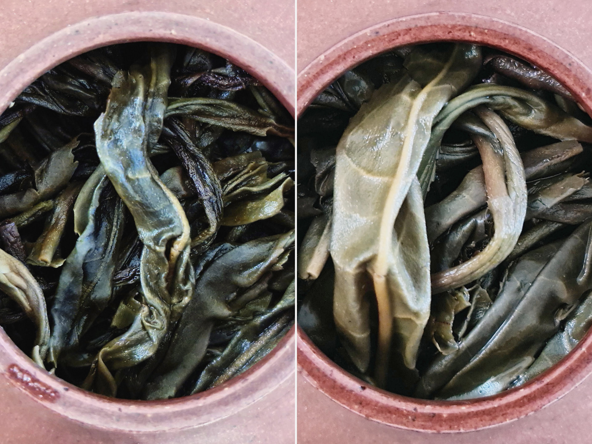 2016 Ge Deng (ZSL)