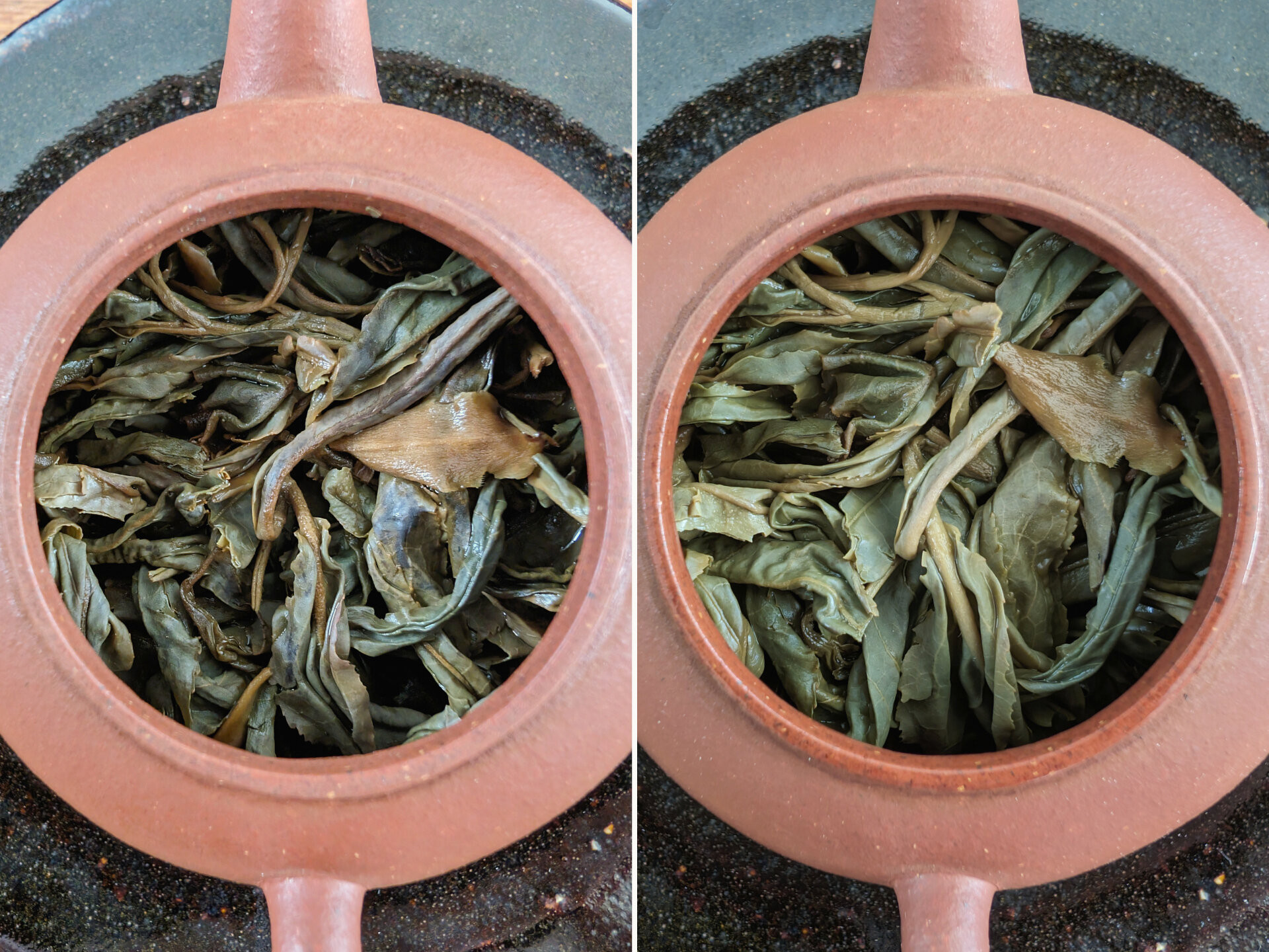 2013 Baifuzangcang Cangshou Wild Ancient