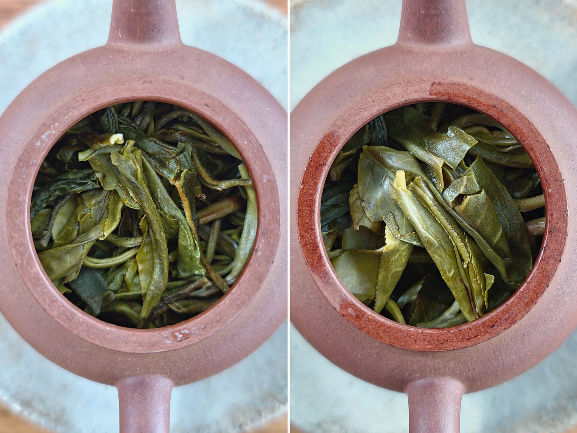 2023 Huazhuliangzi Gushu (TE)