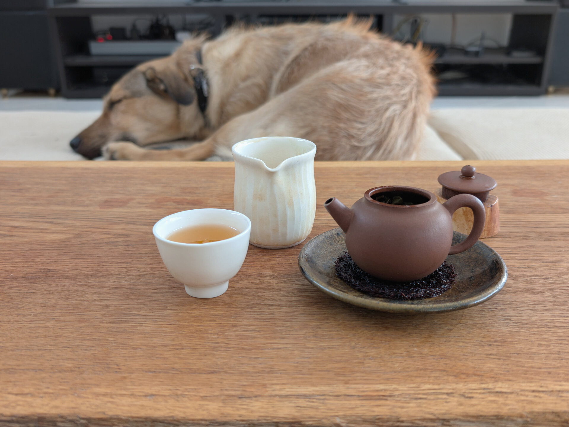 2024 Chenyuan Hao Jipin Gongcha