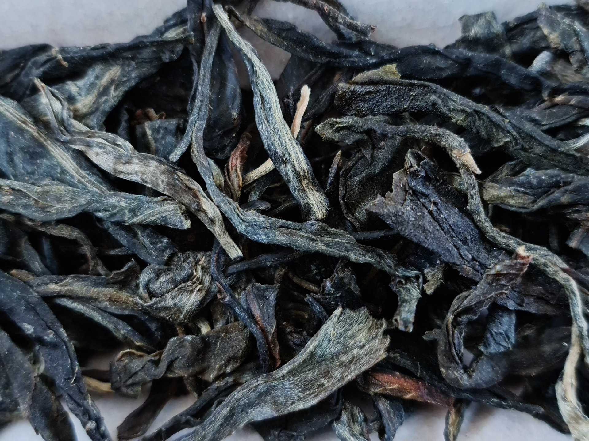 2020 Mengku Gushu (prPL)