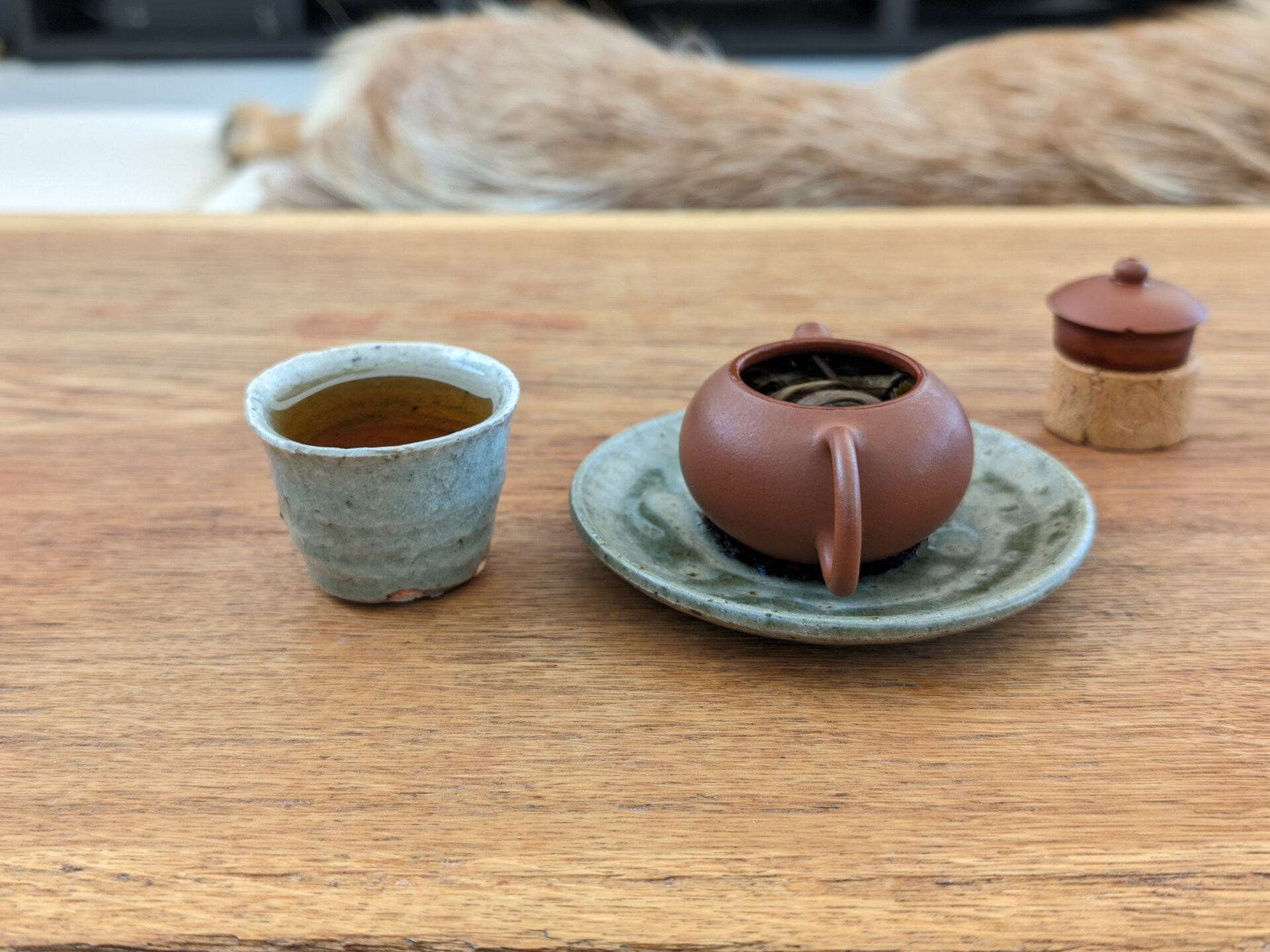 2017 Bi Yun Hao Wangong Gaogan Gushu