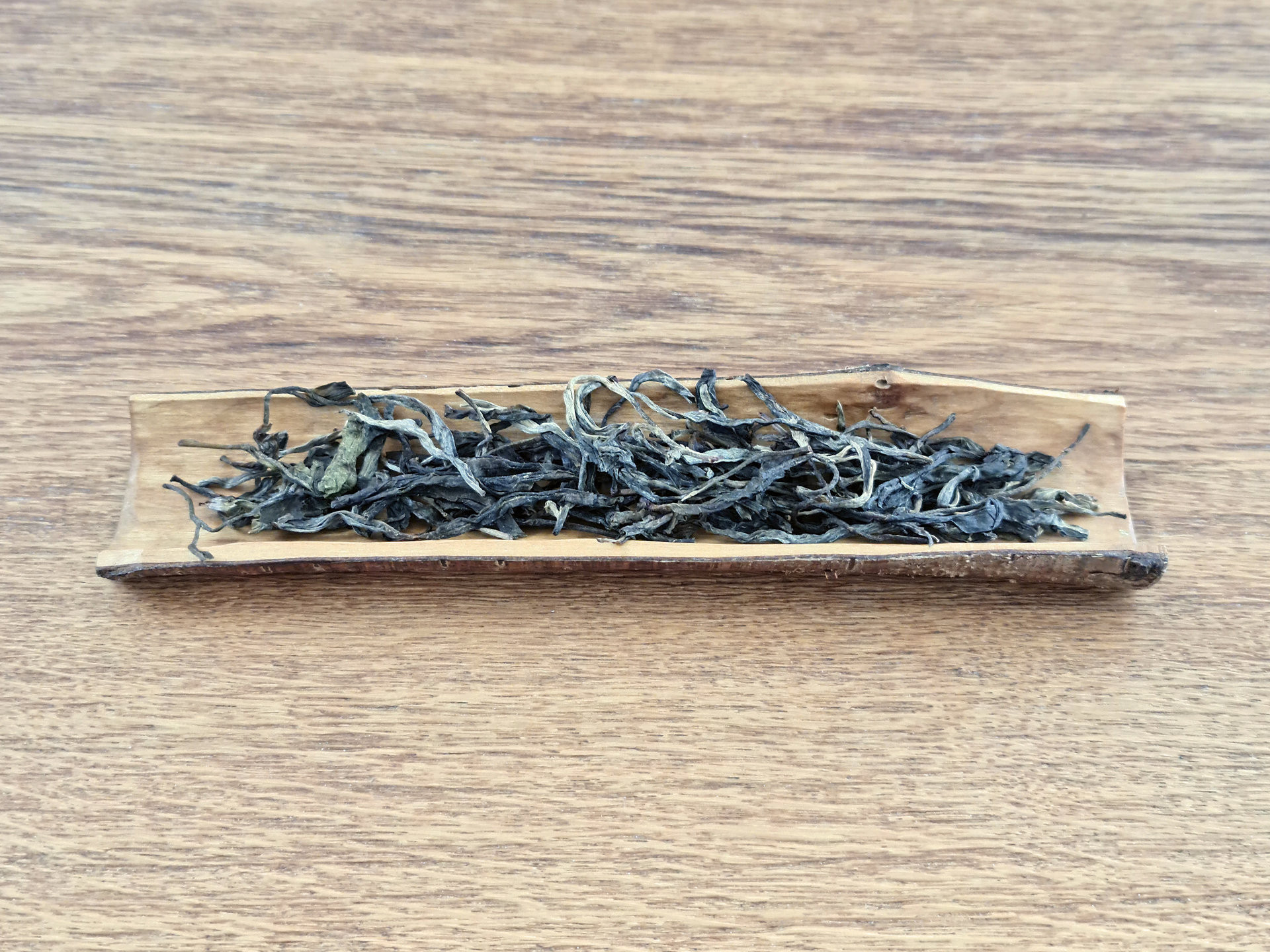 2019 Xi Kong (TU)