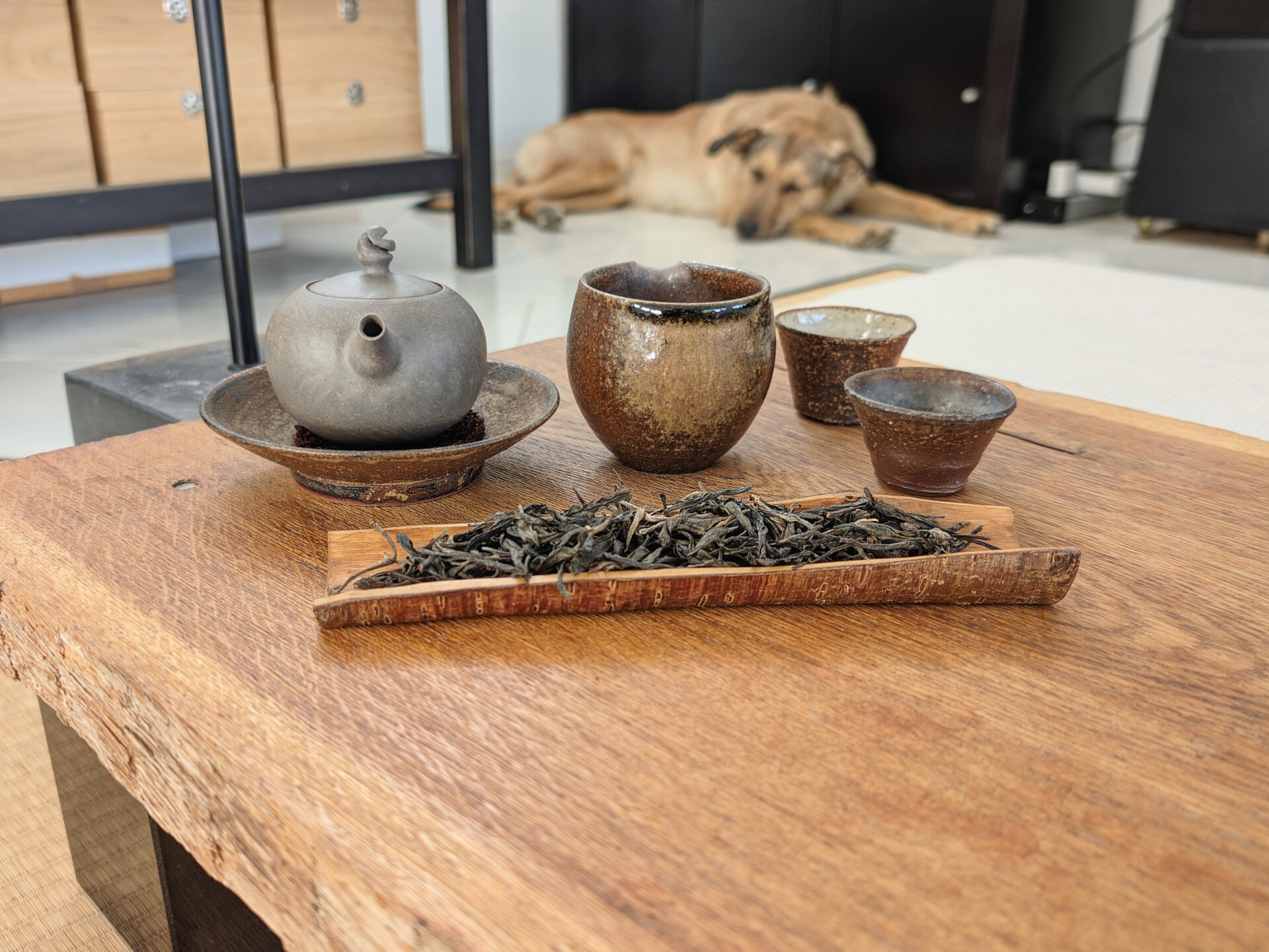 2019 Gold Mark Tianmenshan Extra Tall Ancient Trees (pruk)