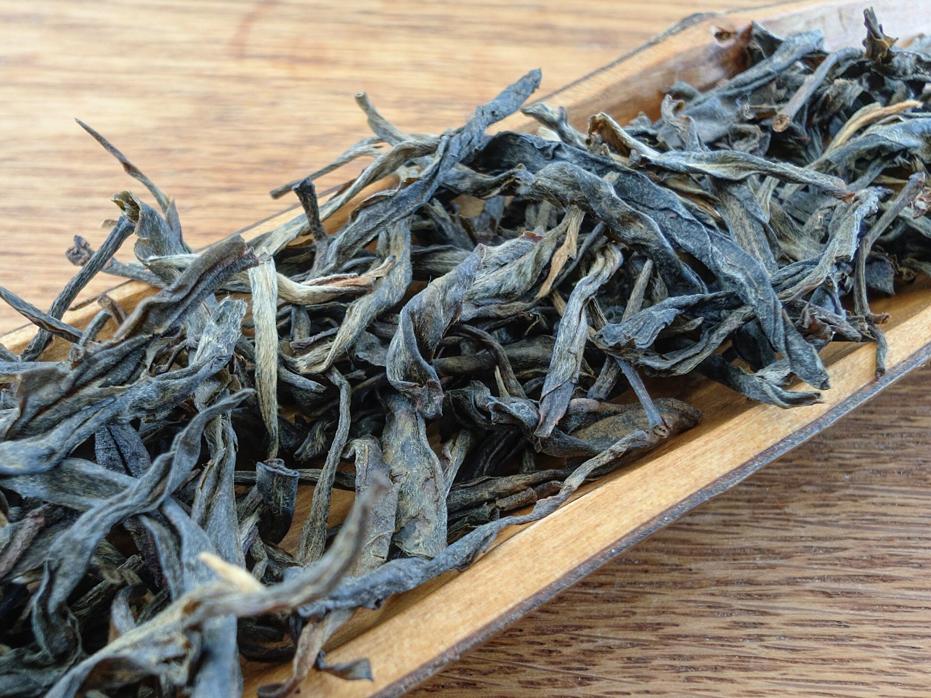 2019 Gold Mark Tianmenshan Extra Tall Ancient Trees (pruk)