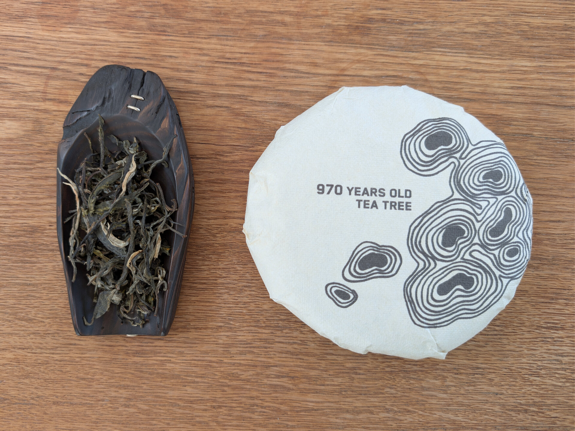 2026 970 years old tea tree (prSK)