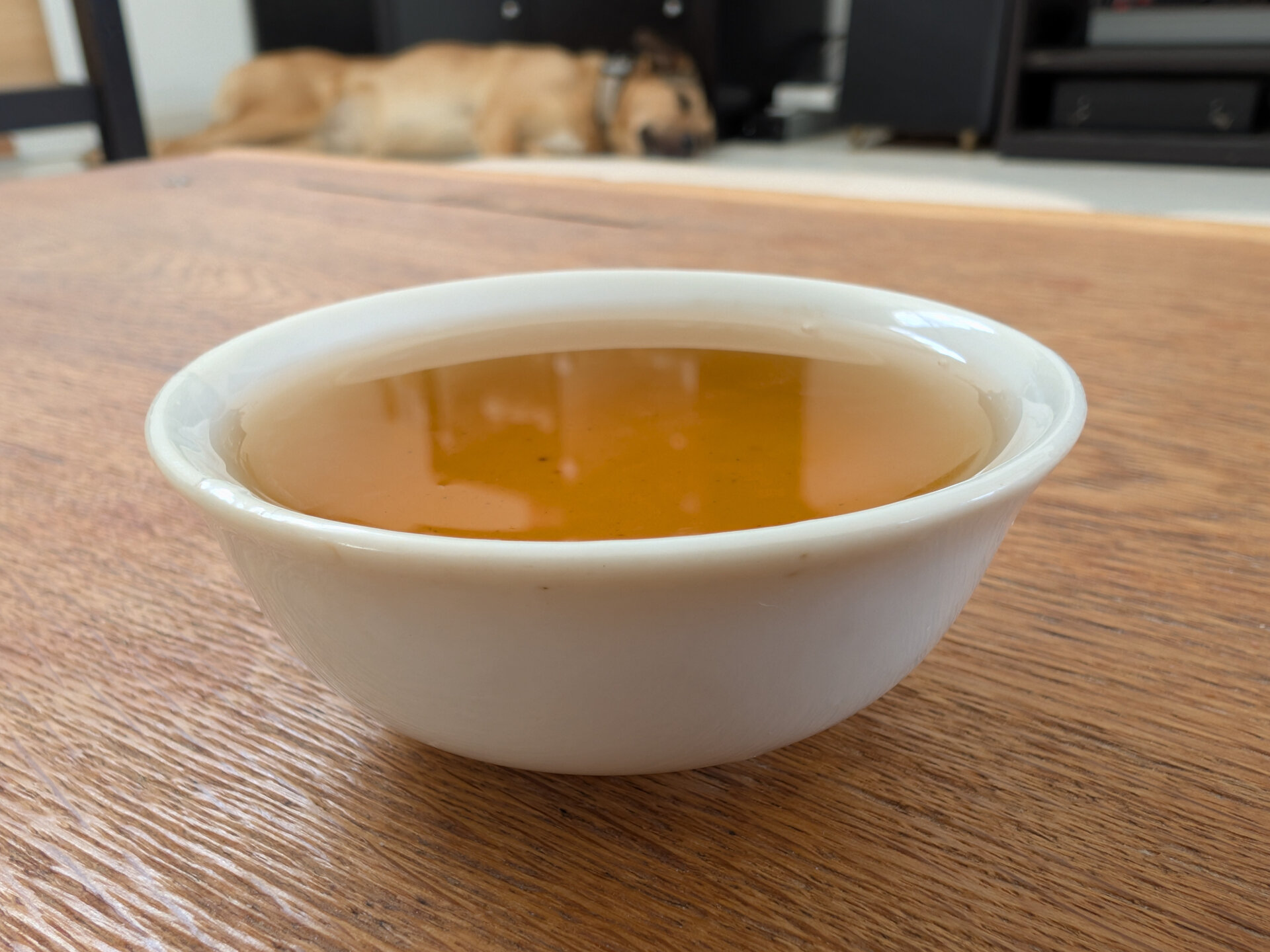 2026 970 years old tea tree (prSK)
